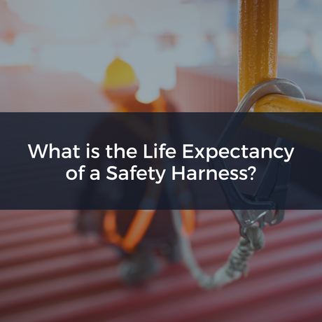 What is the Life Expectancy of a Safety Harness?