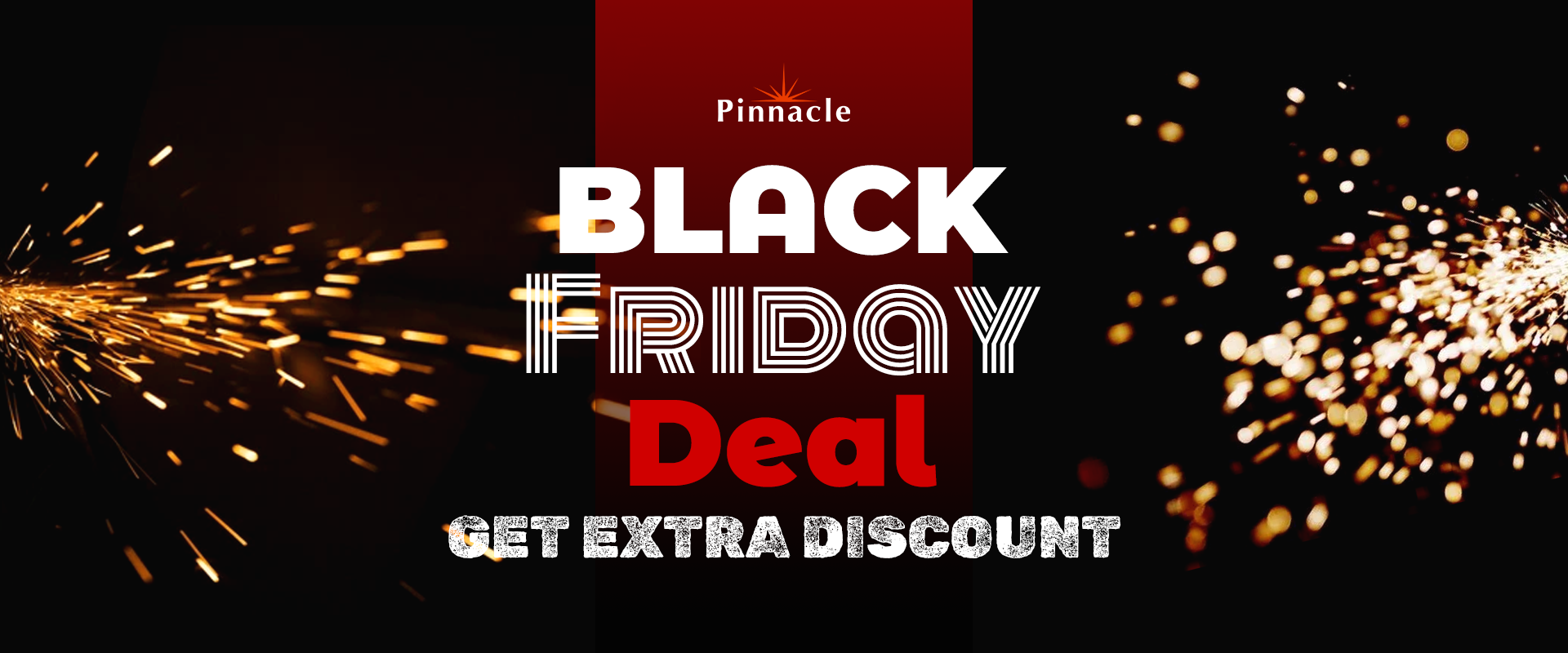 2025 Black Friday Promotion Banner